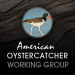 American Oystercatcher Working Group